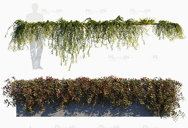 مدل سه‌بعدی گیاه آبشاری با برگ‌های آویز و طراحی واقع‌گرایانه، ایده‌آل برای دکوراسیون داخلی مدرن و طبیعی.