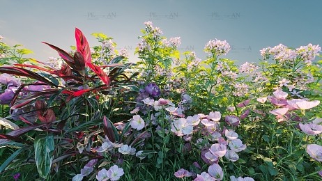 مدل سه بعدی گل و گیاه