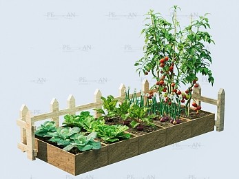 مدل سه بعدی گیاه و باغچه