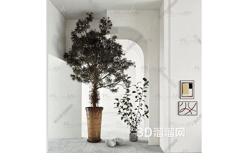 12279011_-potted-green-plants-3dmodel-02PERMAN3D.IR_.jpg