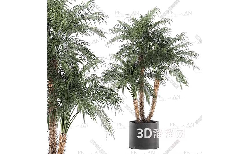 12737385_Potted-shrub-potted-tree-outrood-potted-tree-topiary-shruf-3d-model-3dmax001-PERMAN3D.IR_.jpg