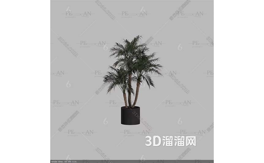 12737385_Potted-shrub-potted-tree-outrood-potted-tree-topiary-shruf-3d-model-3dmax002-PERMAN3D.IR_.jpg