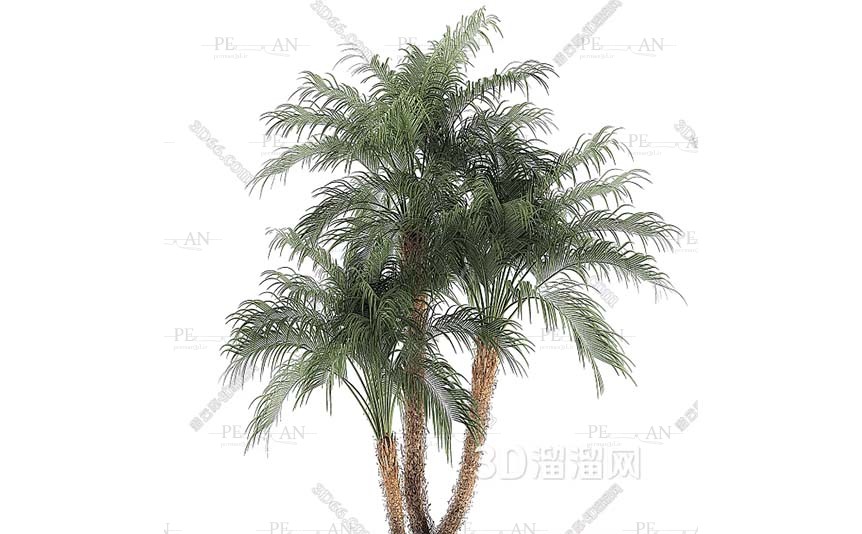 12737385_Potted-shrub-potted-tree-outrood-potted-tree-topiary-shruf-3d-model-3dmax003-PERMAN3D.IR_.jpg