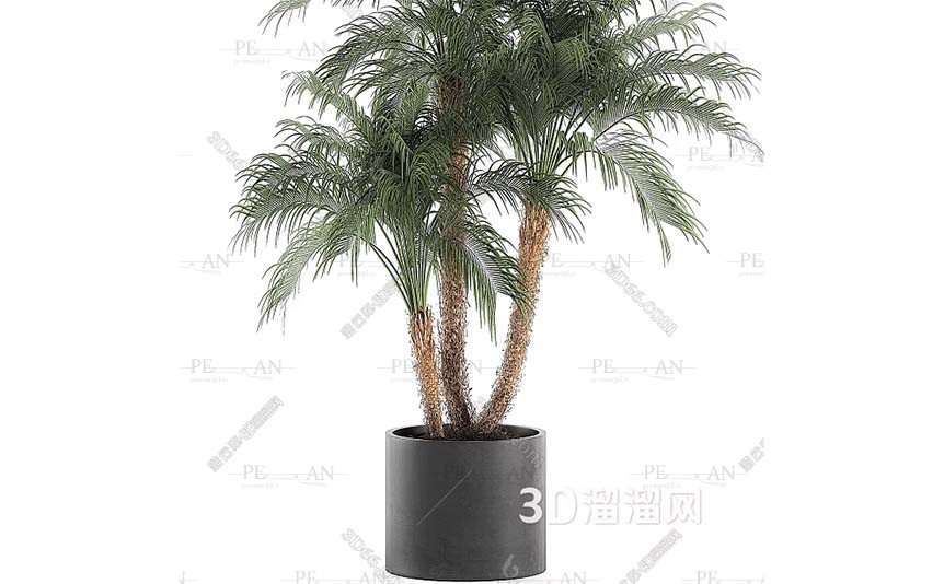 12737385_Potted-shrub-potted-tree-outrood-potted-tree-topiary-shruf-3d-model-3dmax004-PERMAN3D.IR_.jpg