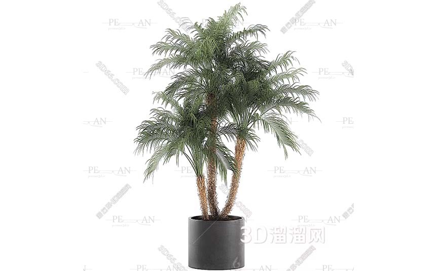 12737385_Potted-shrub-potted-tree-outrood-potted-tree-topiary-shruf-3d-model-3dmax005-PERMAN3D.IR_.jpg