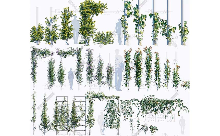 12946612_greenery-landscape-garden-lawn-park-trees-bushes-shurbs-3d-model-3dmax001-PERMAN3D.IR_.jpg