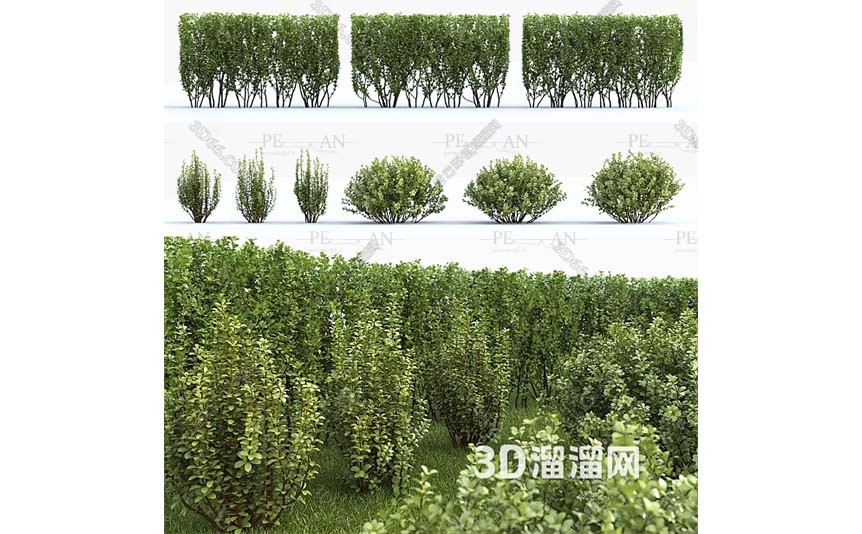 1299523_greenery-landscape-garden-lawn-park-trees-bushes-shurbs-3d-model-3dmax001-PERMAN3D.IR_.jpg