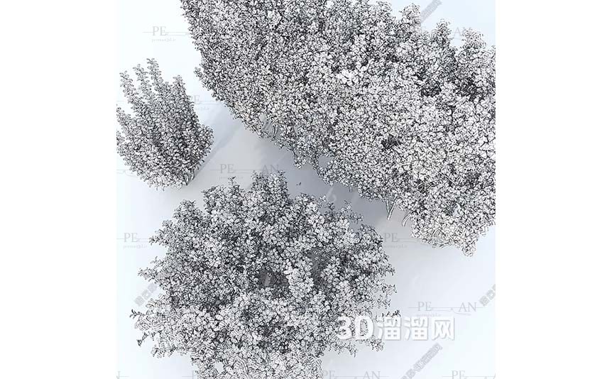 1299523_greenery-landscape-garden-lawn-park-trees-bushes-shurbs-3d-model-3dmax002-PERMAN3D.IR_.jpg