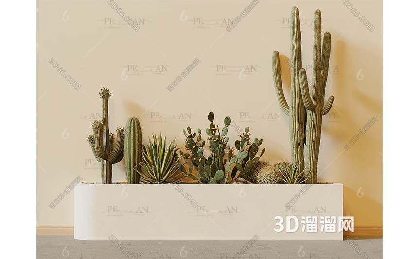 13511277_cactus-plant-3dmodel-modern-01PERMAN3D.IR_-1.jpg