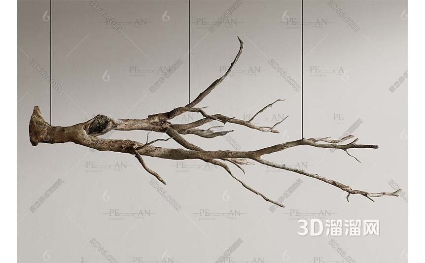 14219970_branchdead-drybranch-deadwoodtree-3dmodel-01PERMAN3D.IR_.jpg