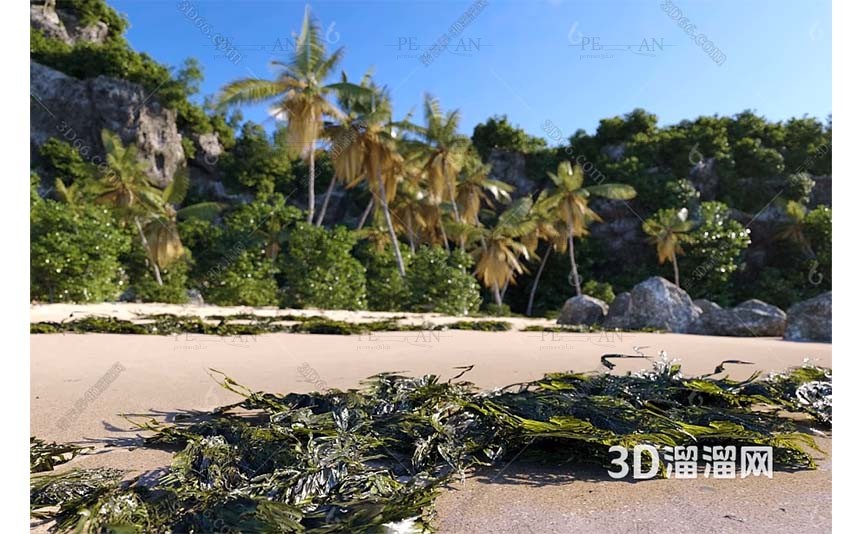 15275893_beach-sandy-beach-rocky-beach-seaside-tree-3d-model-3dmax002-PERMAN3D.IR_.jpg