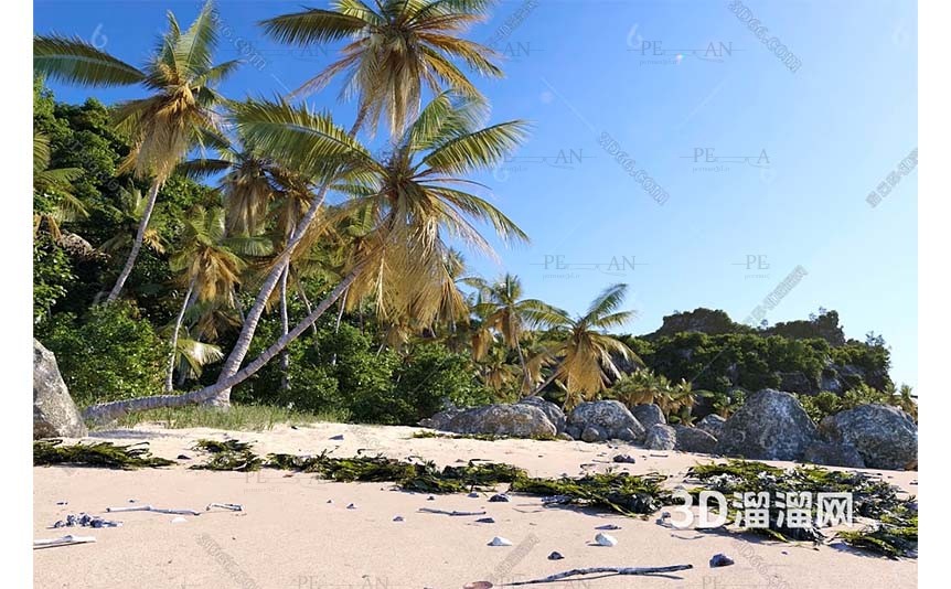 15275893_beach-sandy-beach-rocky-beach-seaside-tree-3d-model-3dmax003-PERMAN3D.IR_.jpg