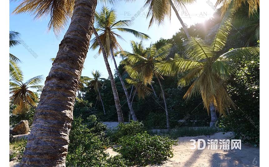15275893_beach-sandy-beach-rocky-beach-seaside-tree-3d-model-3dmax004-PERMAN3D.IR_.jpg