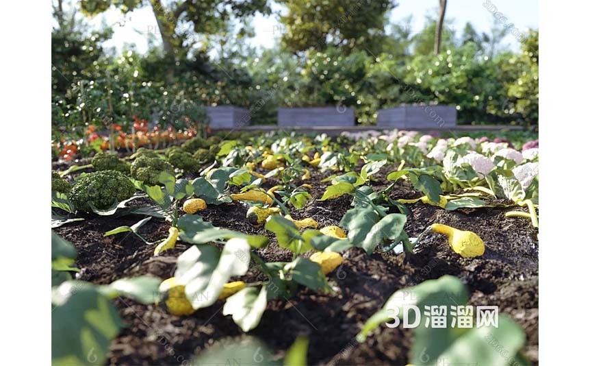 15278651_garden-vegetable-greens-plant-herb-garden-organic-greens-3d-model-3dmax001-PERMAN3D.IR_.jpg