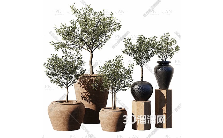 15518642_modern-plant-pot-3dmodel-01PERMAN3D.IR_.jpg