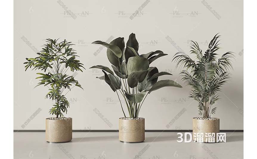 15939756_greenplant-modern-3dmodel-01PERMAN3D.IR_.jpg