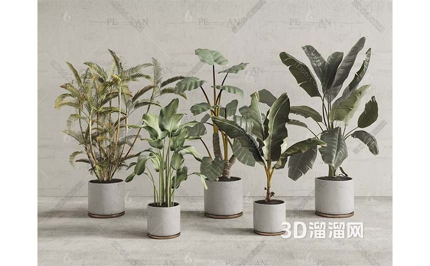 1667097_modern-potted-plant-green-plants-3dmodel-01PERMAN3D.IR_.jpg