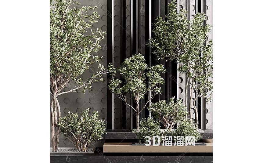 17339287_modern-garden-out-dooe-gate-for-indscaping-tree-indoor-ornamental-tree-3d-model-3dmax004-PERMAN3D.IR_.jpg