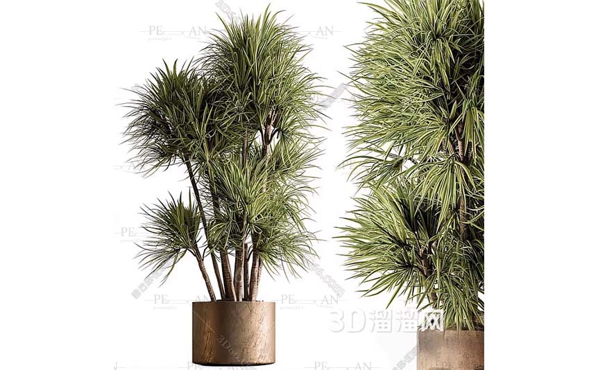 18644824_wase-plant-tree-larg-floor-pots-pots-indoor-tree-potted-tree-3d-model-3dmax002-PERMAN3D.IR_.jpg