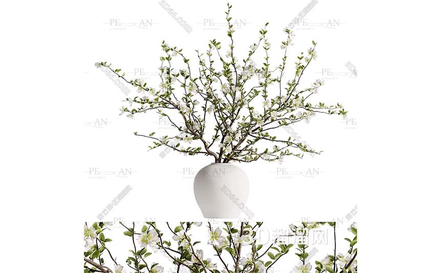 19488679_vase-flower-vasr-ceramic-vase-flower-pot-3d-model-3dmax001-PERMAN3D.IR_.jpg