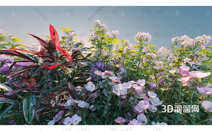19590262_garden-flower-plant-bloom-bud-leaf-stem-shrub-3d-model-3d-max001-PERMAN3.IR_.jpg