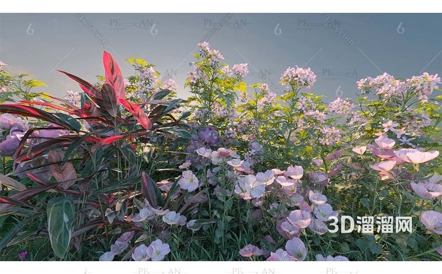 19590262_garden-flower-plant-bloom-bud-leaf-stem-shrub-3d-model-3d-max003-PERMAN3.IR_.jpg