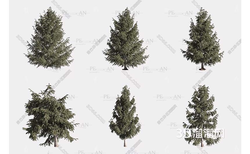 20323100_european-spruce-tree-tree-out-door-spruce-tree-for-garden-3d-model-3d-max001-PERMAN3D.IR_.jpg