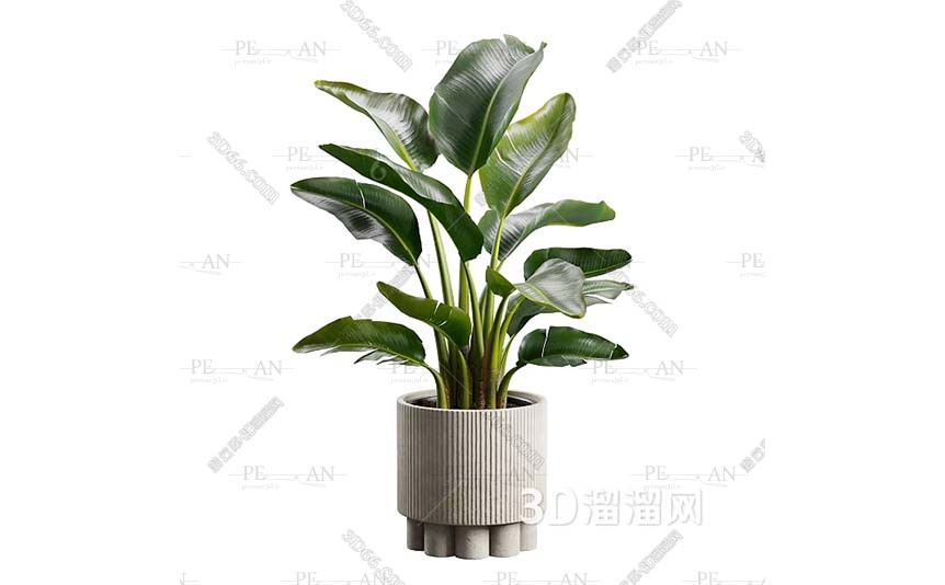 22426666_plant-flower-clay-pote-vase-decorative-vase-3d-model-3d-max001-PERMAN3D.IR_.jpg