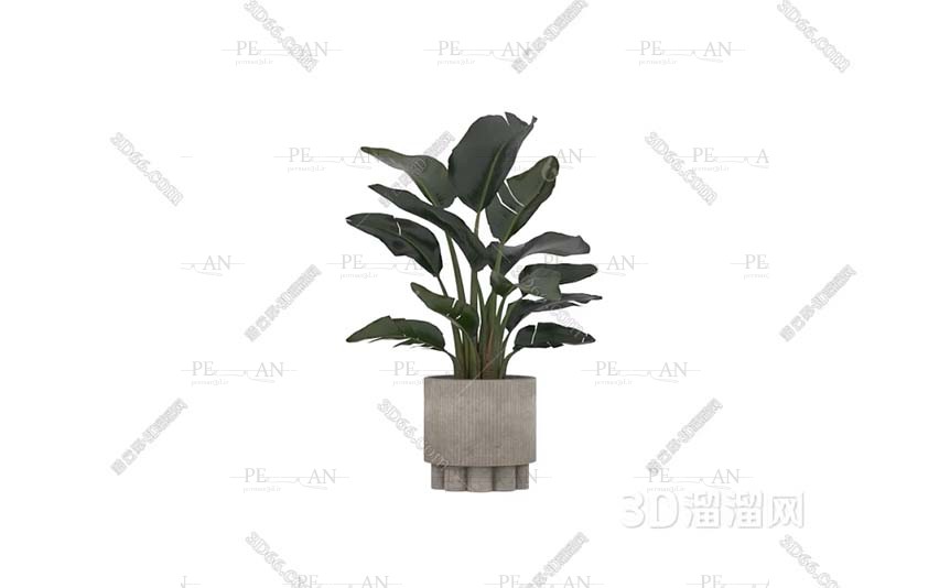 22426666_plant-flower-clay-pote-vase-decorative-vase-3d-model-3d-max003-PERMAN3D.IR_.jpg