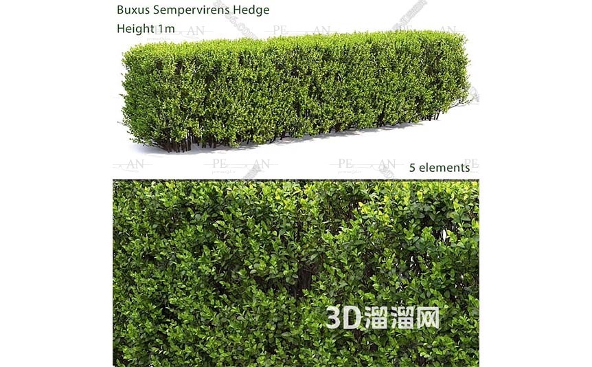 22545511_shrub-bush-hedge-garden-landscape-greens-vegetation-3d-model-3dmax002-PERMAN3D.IR_.jpg
