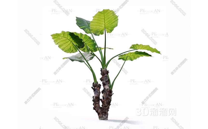 8951645_plant-indoor-plant-green-plant-potted-plant-3d-model-3dmax001-PERMAN3D.IR_.jpg