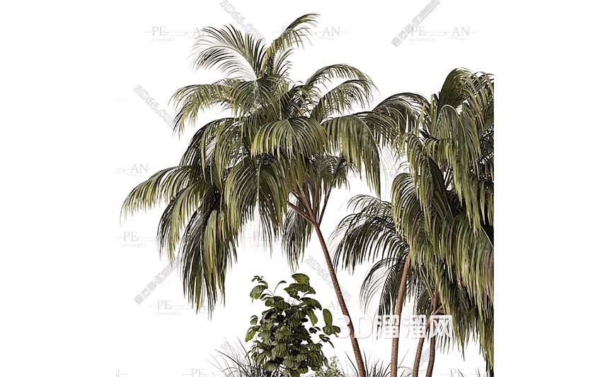 9215546_wase-plant-tree-larg-floor-pots-pots-indoor-tree-potted-tree-3d-model-3dmax001-PERMAN3D.IR_.jpg