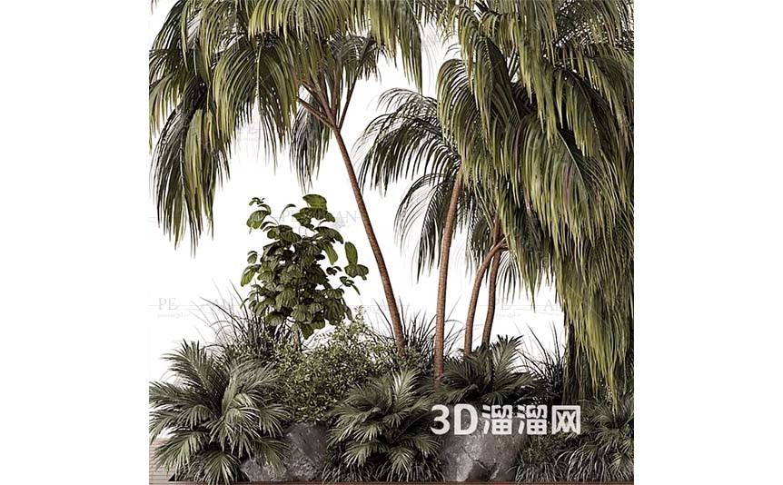 9215546_wase-plant-tree-larg-floor-pots-pots-indoor-tree-potted-tree-3d-model-3dmax003-PERMAN3D.IR_.jpg