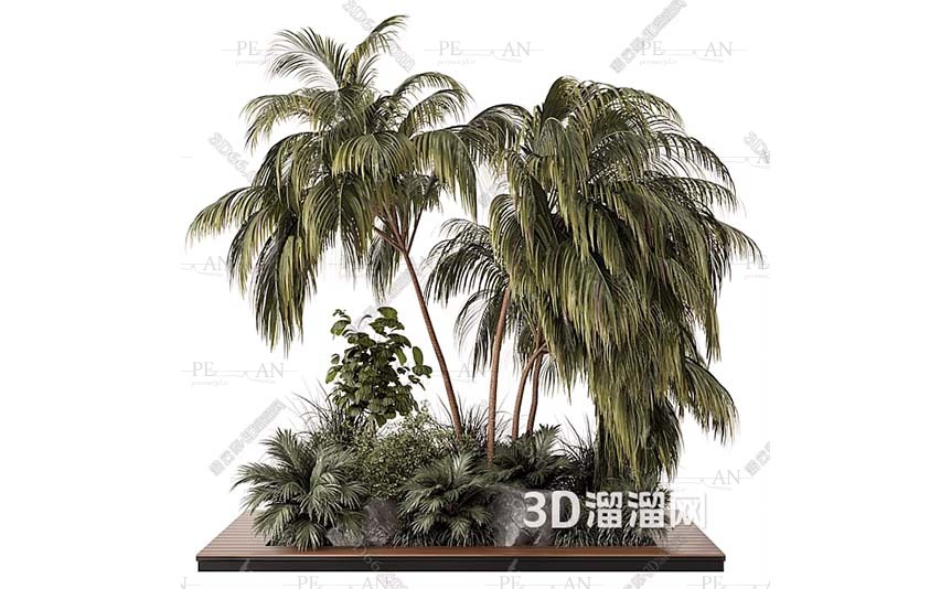 9215546_wase-plant-tree-larg-floor-pots-pots-indoor-tree-potted-tree-3d-model-3dmax004-PERMAN3D.IR_.jpg