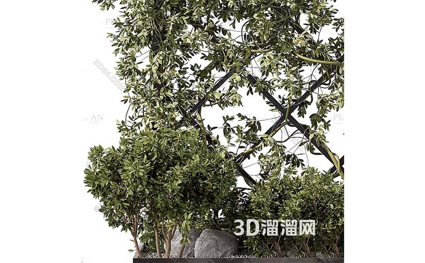 9337588_plant-plant-decorative-ooutdoor-plant-living-wall-green-wall-3d-model-3d-max003-PERMAN3D.IR_.jpg